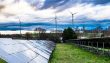 Yenilenebilir enerji 2024’te küresel elektrik üretiminin yüzde 31,7’sini karşıladı