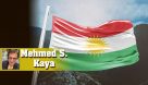 Kürt bölgesinin varisi kimdir? | Mehmed S. Kaya